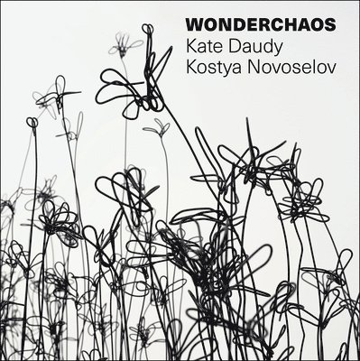 Wonderchaos