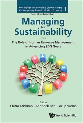 bokomslag Managing For Sustainability: The Role Of Human Resource Management In Advancing Sdg Goals