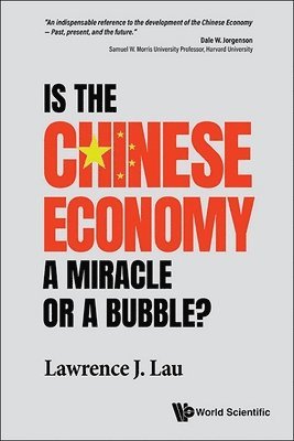 bokomslag Is The Chinese Economy A Miracle Or A Bubble?