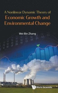 bokomslag Nonlinear Dynamic Theory Of Economic Growth And Environmental Change