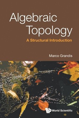 bokomslag Algebraic Topology: A Structural Introduction