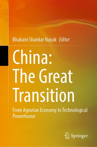 bokomslag China: The Great Transition