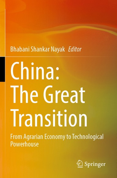 bokomslag China: The Great Transition