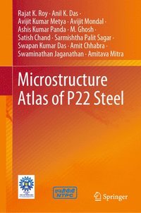bokomslag Microstructure Atlas of P22 Steel