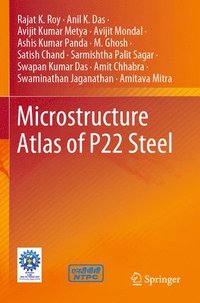 bokomslag Microstructure Atlas of P22 Steel