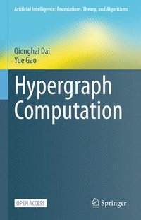 bokomslag Hypergraph Computation