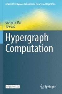 bokomslag Hypergraph Computation