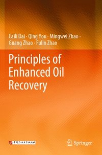 bokomslag Principles of Enhanced Oil Recovery