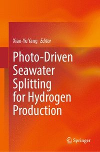 bokomslag Photo-Driven Seawater Splitting for Hydrogen Production