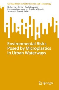 bokomslag Environmental Risks Posed by Microplastics in Urban Waterways