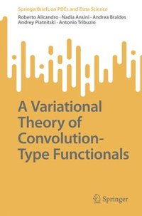 bokomslag A Variational Theory of Convolution-Type Functionals
