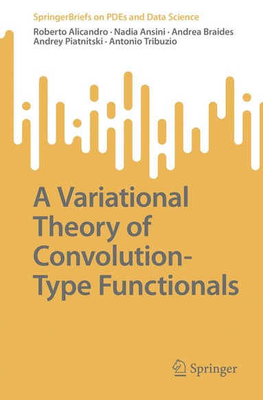 Roberto Alicandro, Nadia Ansini, Andrea Braides, Andrey Piatnitski, Antonio Tribuzio - Variational Theory of Convolution-Type Functionals, Häftad