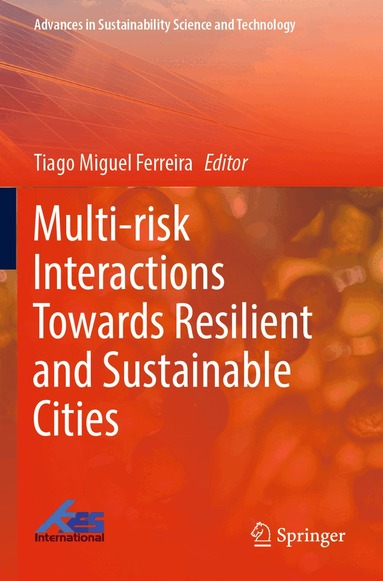 Tiago Miguel Ferreira - Multi-risk Interactions Towards Resilient and Sustainable Cities, Häftad