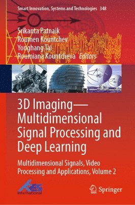 bokomslag 3D ImagingMultidimensional Signal Processing and Deep Learning