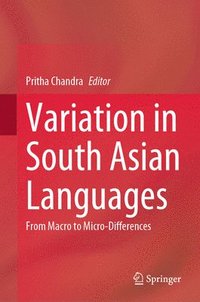 bokomslag Variation in South Asian Languages