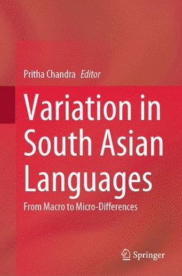 bokomslag Variation in South Asian Languages