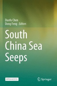 bokomslag South China Sea Seeps