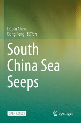 South China Sea Seeps 1