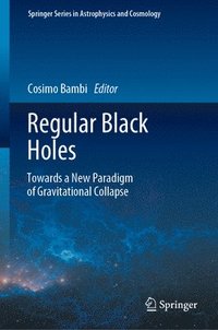 bokomslag Regular Black Holes