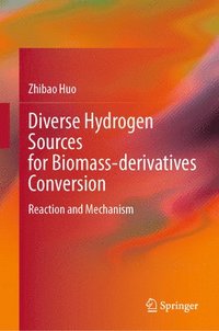 bokomslag Diverse Hydrogen Sources for Biomass-derivatives Conversion