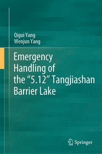 bokomslag Emergency Handling of the 5.12 Tangjiashan Barrier Lake