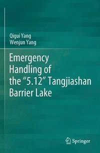 bokomslag Emergency Handling of the "5.12" Tangjiashan Barrier Lake