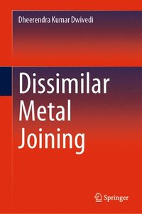 bokomslag Dissimilar Metal Joining