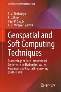 bokomslag Geospatial and Soft Computing Techniques