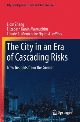 bokomslag The City in an Era of Cascading Risks