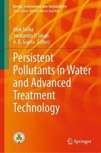 bokomslag Persistent Pollutants in Water and Advanced Treatment Technology