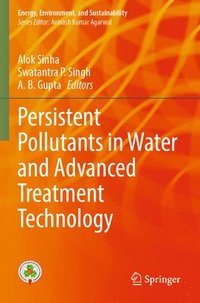 bokomslag Persistent Pollutants in Water and Advanced Treatment Technology