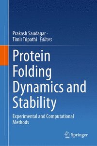 bokomslag Protein Folding Dynamics and Stability