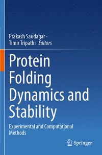 bokomslag Protein Folding Dynamics and Stability
