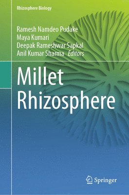 bokomslag Millet Rhizosphere