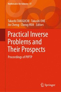 bokomslag Practical Inverse Problems and Their Prospects