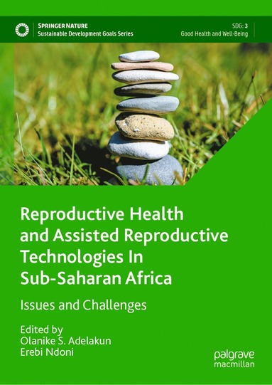 bokomslag Reproductive Health and Assisted Reproductive Technologies In Sub-Saharan Africa