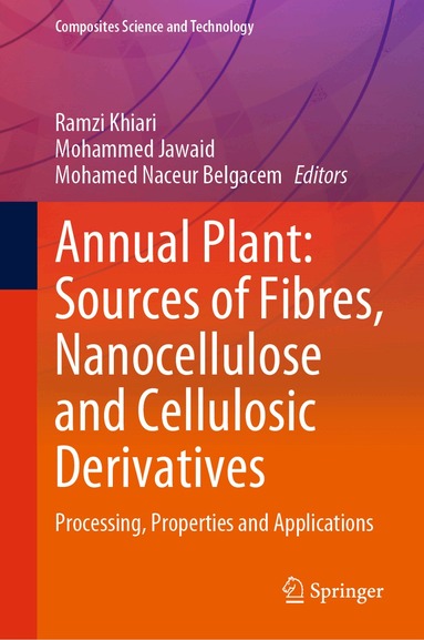Ramzi Khiari, Mohammed Jawaid, Mohamed Naceur Belgacem - Annual Plant: Sources of Fibres, Nanocellulose and Cellulosic Derivatives, Inbunden