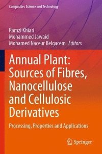 bokomslag Annual Plant: Sources of Fibres, Nanocellulose and Cellulosic Derivatives
