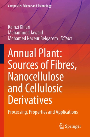 Ramzi Khiari, Mohammed Jawaid, Mohamed Naceur Belgacem - Annual Plant: Sources of Fibres, Nanocellulose and Cellulosic Derivatives, Häftad