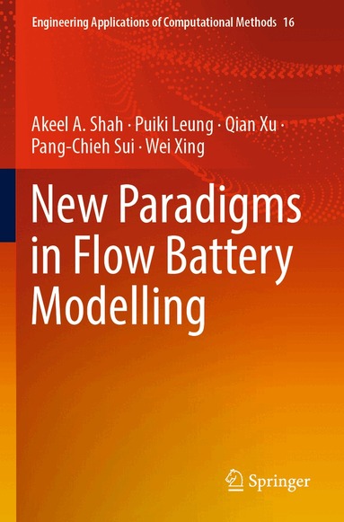 Akeel A. Shah, Puiki Leung, Qian Xu, Pang-Chieh Sui, Wei Xing - New Paradigms in Flow Battery Modelling, Häftad