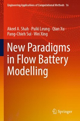 bokomslag New Paradigms in Flow Battery Modelling