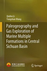 bokomslag Paleogeography and Gas Exploration of Marine Multiple Formations in Central Sichuan Basin