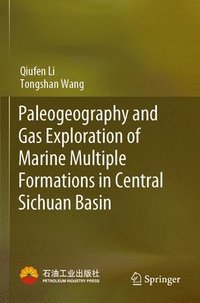 bokomslag Paleogeography and Gas Exploration of Marine Multiple Formations in Central Sichuan Basin