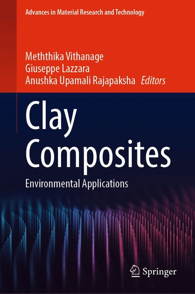 Meththika Vithanage, Giuseppe Lazzara, Anushka Upamali Rajapaksha - Clay Composites, Inbunden