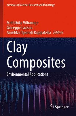 bokomslag Clay Composites