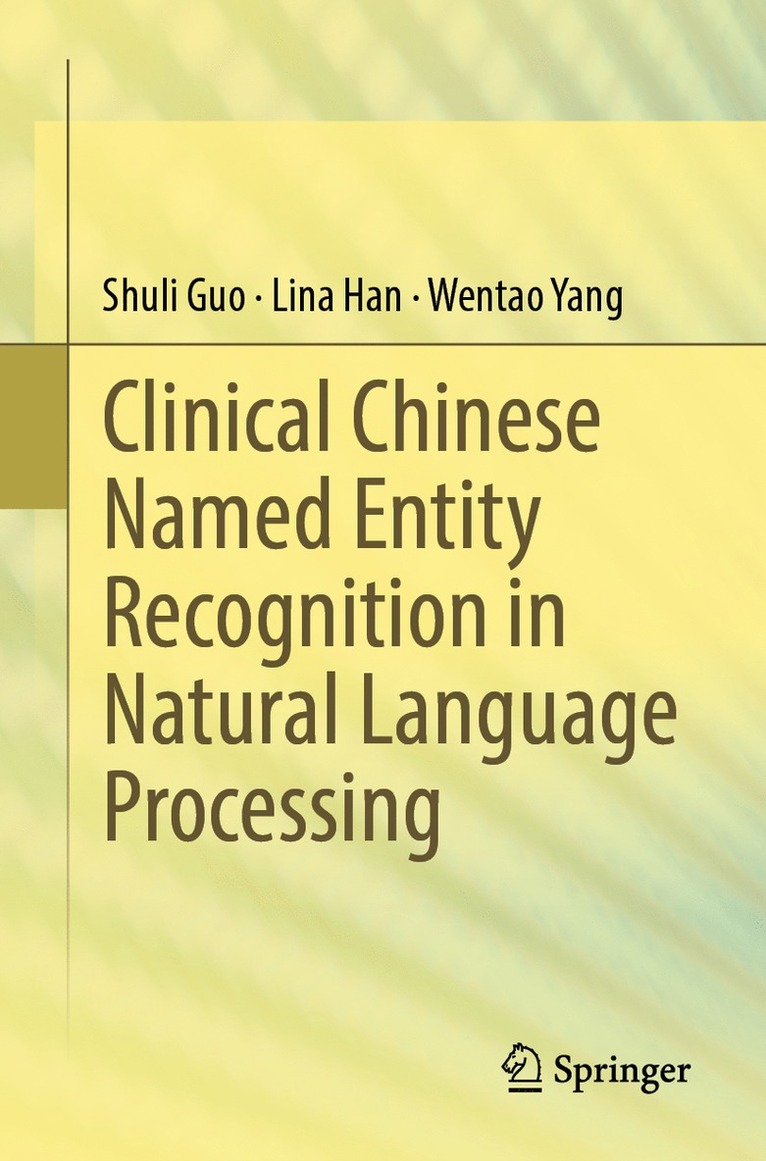 Shuli Guo, Lina Han, Wentao Yang - Clinical Chinese Named Entity Recognition in Natural Language Processing, Häftad