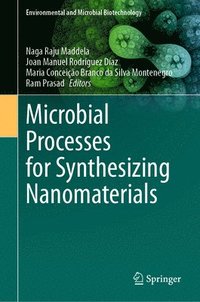 bokomslag Microbial Processes for Synthesizing Nanomaterials