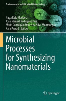 bokomslag Microbial Processes for Synthesizing Nanomaterials