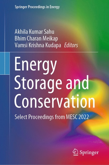 bokomslag Energy Storage and Conservation