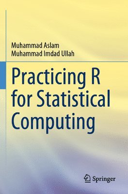 Practicing R for Statistical Computing